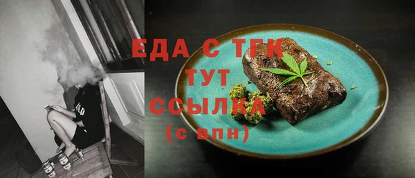 сатива Новозыбков