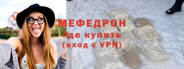 сатива Новозыбков