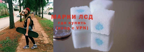 сатива Новозыбков