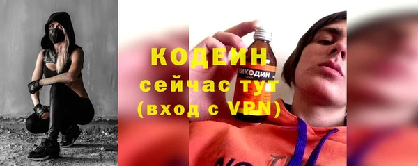 сатива Новозыбков