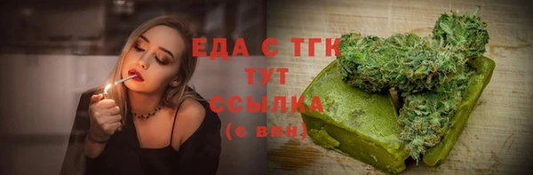 сатива Новозыбков