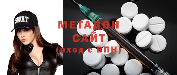 сатива Новозыбков