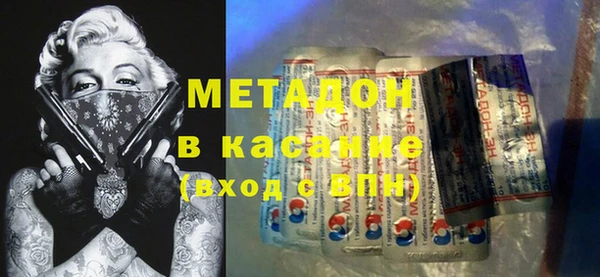 сатива Новозыбков