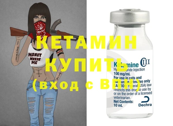 сатива Новозыбков