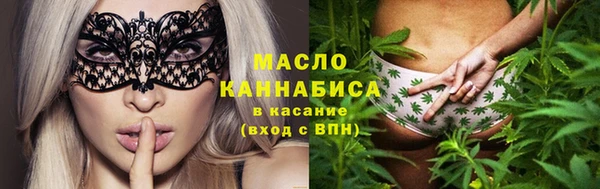 сатива Новозыбков