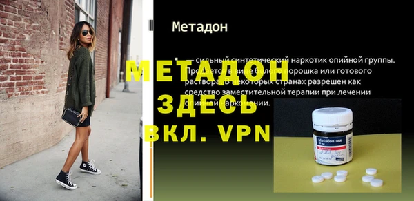 сатива Новозыбков
