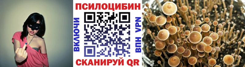 Галлюциногенные грибы Magic Shrooms  купить  цена  Шагонар 